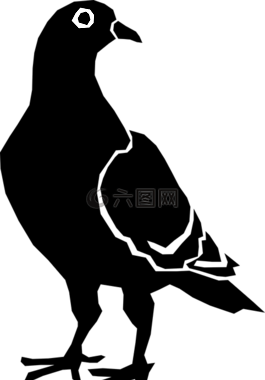 鳥,鴿子