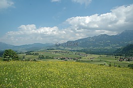 obermaiselstein,阿爾卑斯山野生動(dòng)物公園,查看