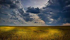 農(nóng)業(yè),cloudscape的,多云的天空