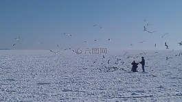 海,冰,冬季