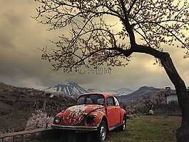 春,bug,山