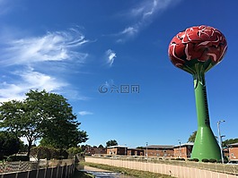 罗斯芒特,水箱,流