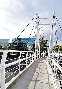 路徑,橋,景觀