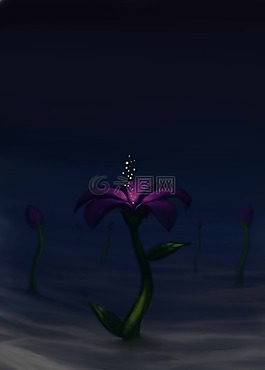 花卉,mar,光