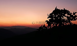 景觀,日落,側(cè)影