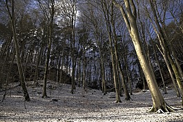 相符的行轅,eifelsteig,冬天