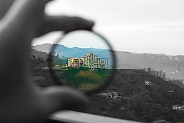 顏色,黑色,白
