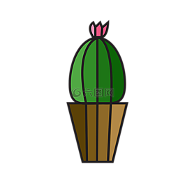 仙人掌,植物,花