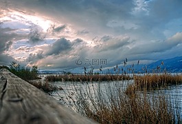 天空,湖,蘆葦
