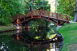 湖,橋,水