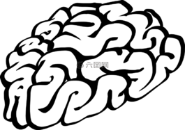 腦,思想,生物學(xué)
