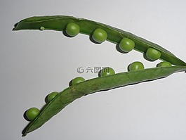 豌豆,蔬菜,綠色