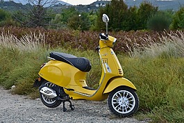 大黃蜂類,滾子,這輛摩托車