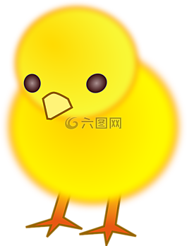 鳥,雞,母雞
