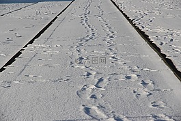 電車軌道,追蹤,鹿特丹