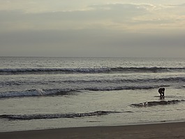 海灘,假期,黃昏