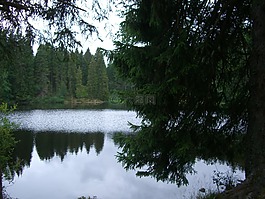 mathisleweiher,沼澤湖,鏡像