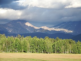 山,森林,字段