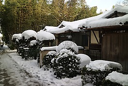 雪景,嵐山,木屋