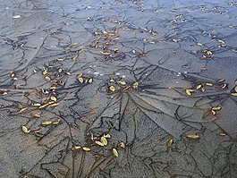 冰,水坑,湖