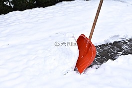 雪,冬季,冷