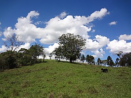 性質(zhì),農(nóng)場,藍(lán)色的天空