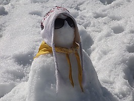 雪人,雪,冬季