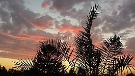 早上,日出,morgenstimmung