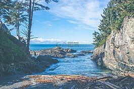 海,岸,自然
