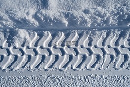 追蹤,雪,白