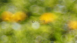 廠,性質,活