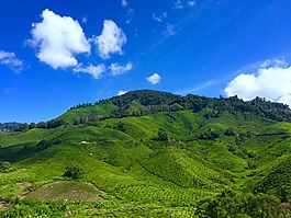 農業,農村,退耕還林