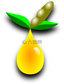 大豆,燃料,豆
