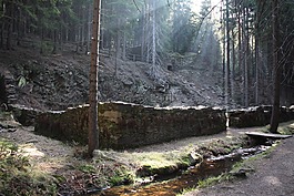 森林,過獨(dú)身生活,羅爾溝