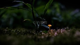 抽象,关闭了,发光