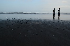 海,上午,海灘