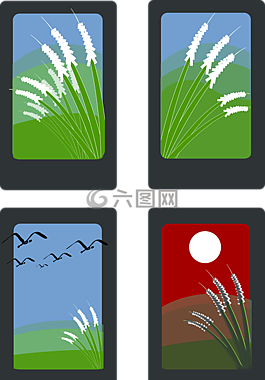 窗口,季节,夏天