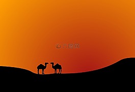 沙漠,景觀,日出