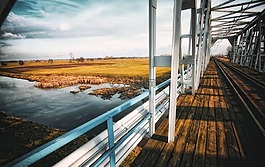 旅行,在法院的,高架橋