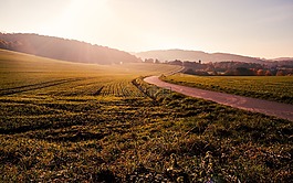 原野,草,清路