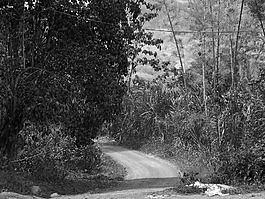 哥倫比亞,農(nóng)村公路,山