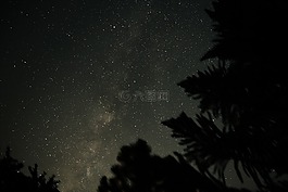 銀河,樹(shù),空間