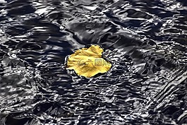 工作表,水,性質(zhì)