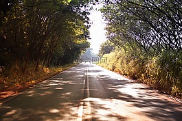 路徑,瀝青,車道