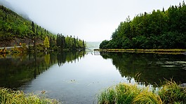 水,樹,荒野