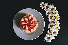 黑表,雏菊,食品