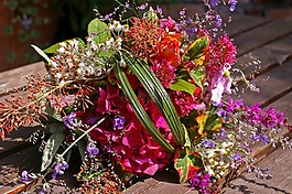 花束,豐富多彩,鮮花