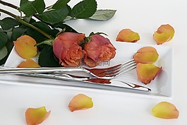 玫瑰,玫瑰花,鮮花