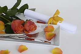 玫瑰,玫瑰花,鮮花