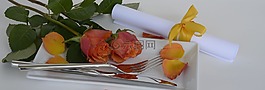 玫瑰,玫瑰花,鮮花